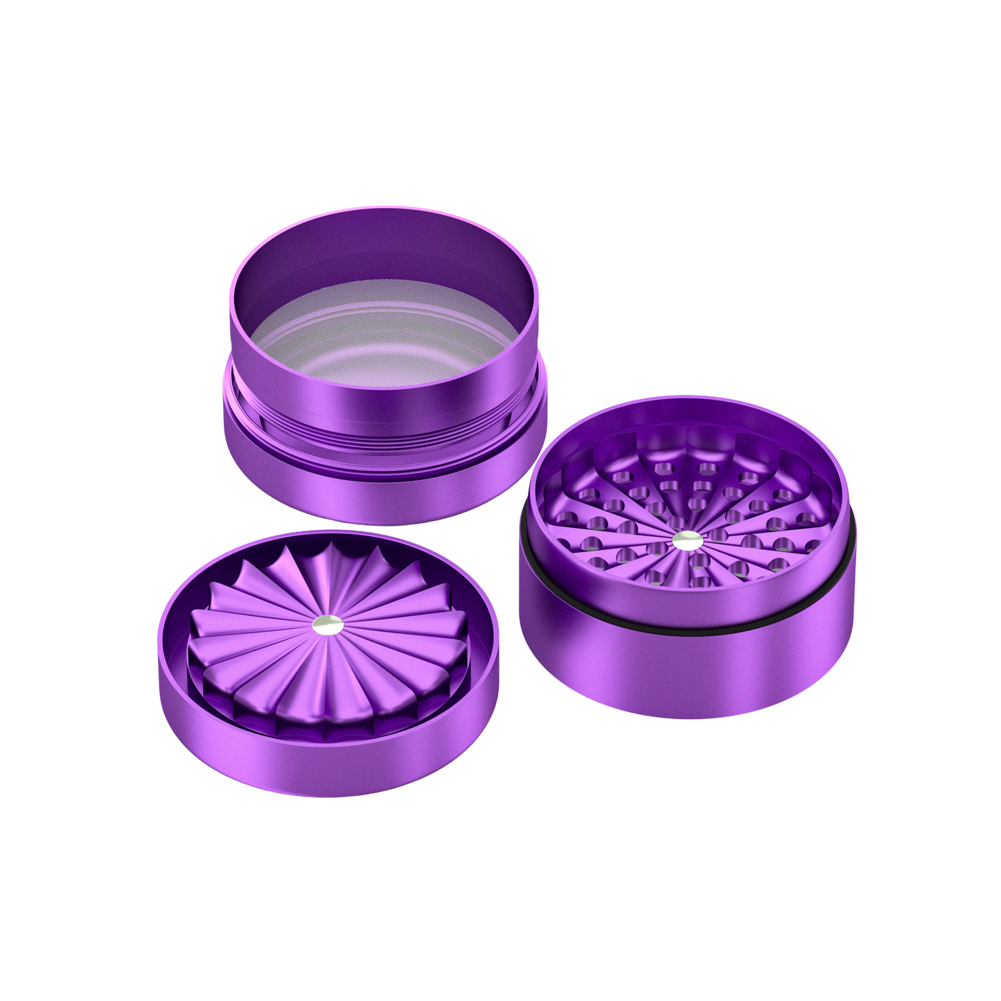 Premium Toothless Grinder Hollywood (lila 2.0)