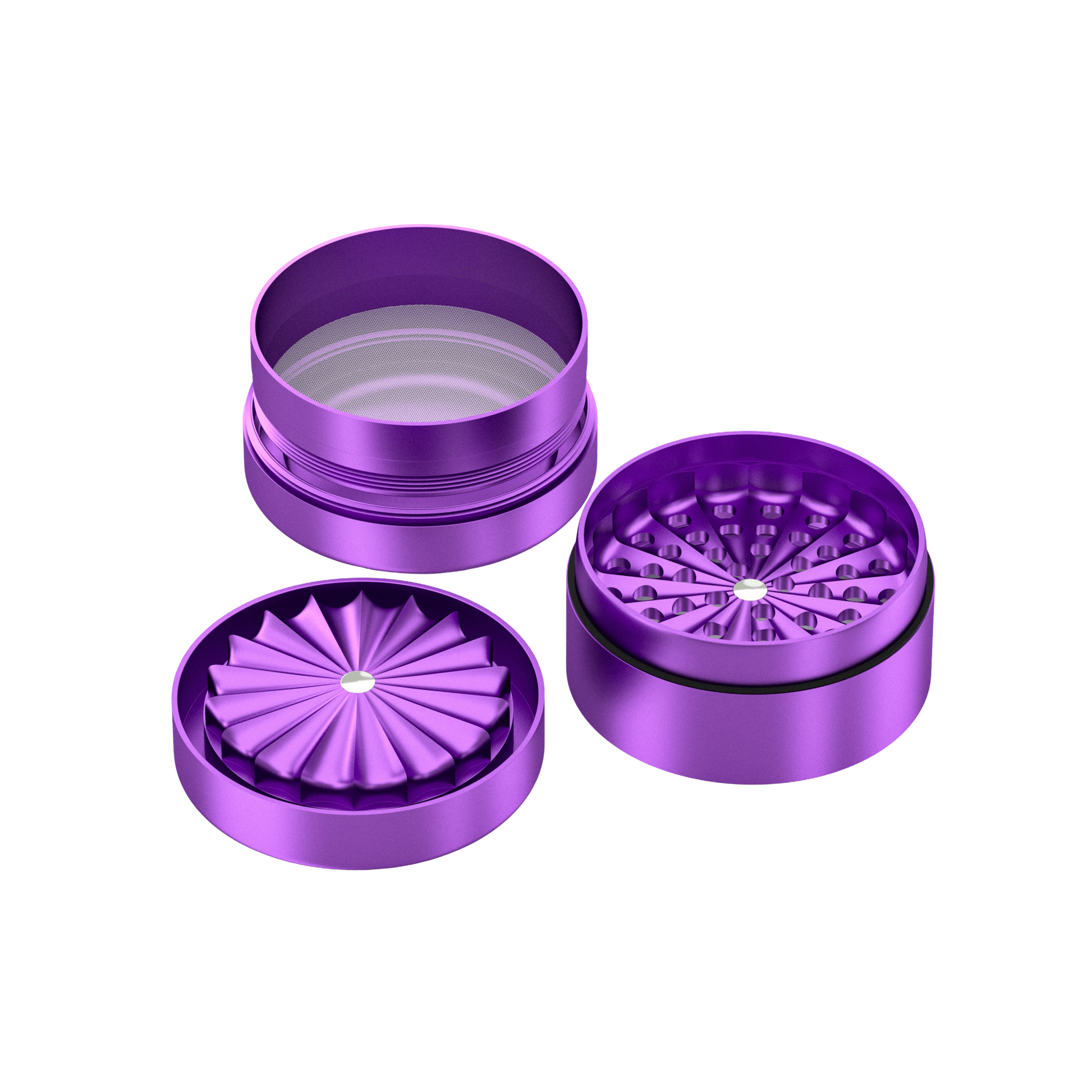 Premium Toothless Grinder Hollywood (lila 2.0)
