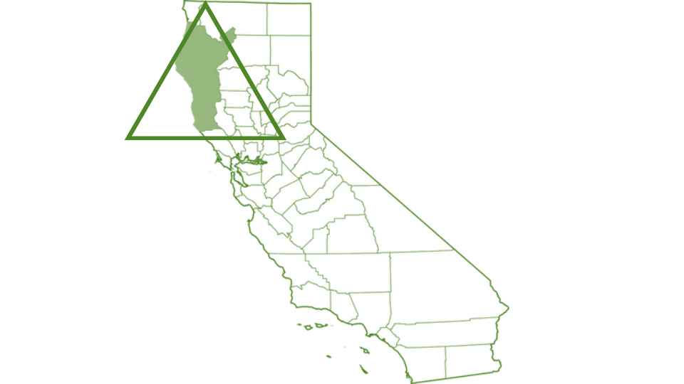 Caliweed - Emerald Dreieck in Kalifornien 